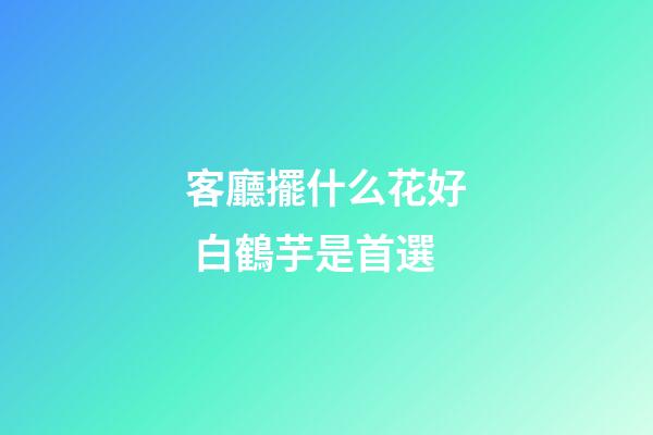 客廳擺什么花好 白鶴芋是首選